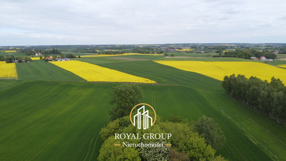 Działka siedliskowa Płouszowice-Kolonia. Zdjęcie 10