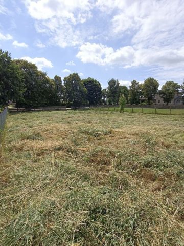 Działka rolno-budowlana Głoginin. Zdjęcie 1