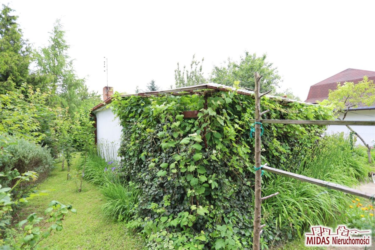 Działka rod Ciechocinek, ul. Adama Mickiewicza. Zdjęcie 4