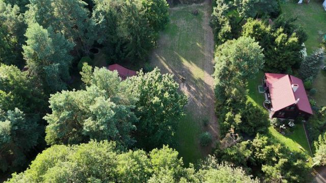 Działka rekreacyjna Skrzeszew, ul. Wczasowa. Zdjęcie 10