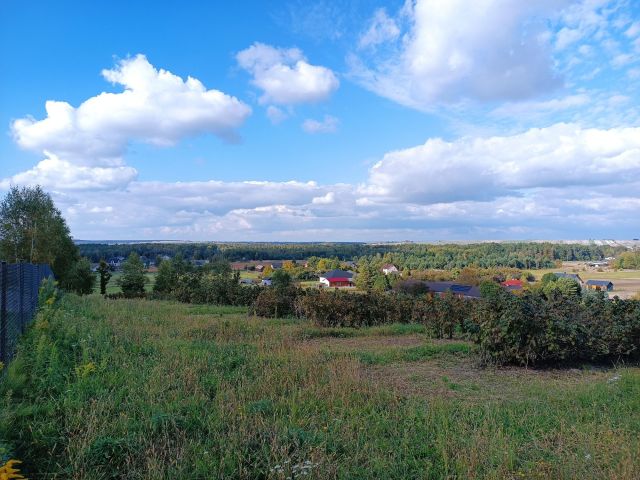 Działka Lipsko-Polesie. Zdjęcie 1