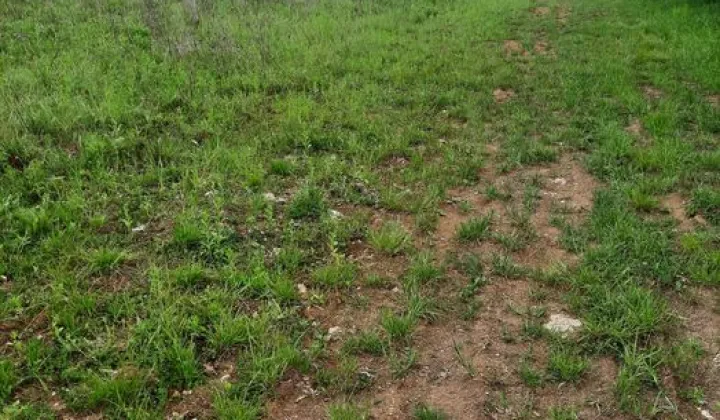 Działka budowlana Ostrowiec Świętokrzyski Koszary, ul. Bałtowska