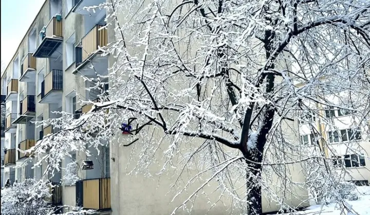 Mieszkanie 3-pokojowe Warszawa Bielany, ul. Antoniego Magiera