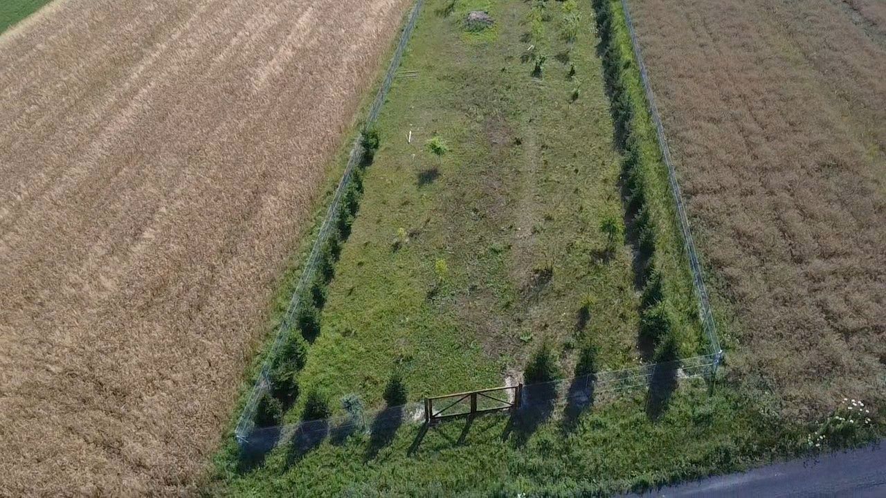 dom wolnostojący Deszkowice-Kolonia. Zdjęcie 6