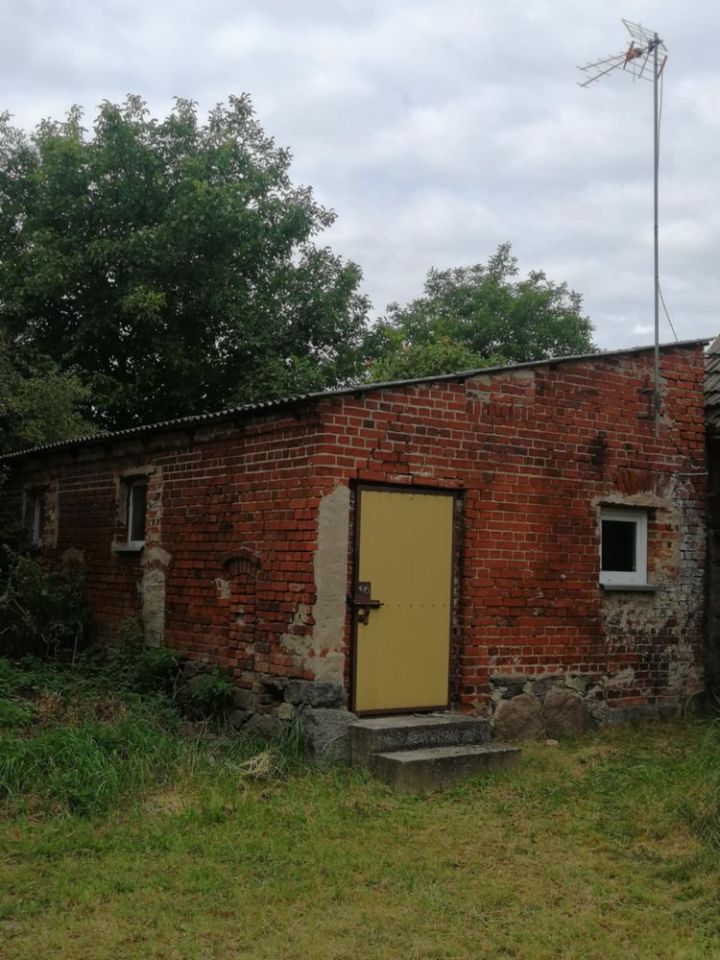 bliźniak Suliborek. Zdjęcie 3