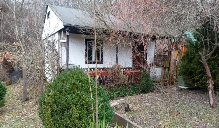 Działka rekreacyjna Jelenia Góra, ul. Legnicka