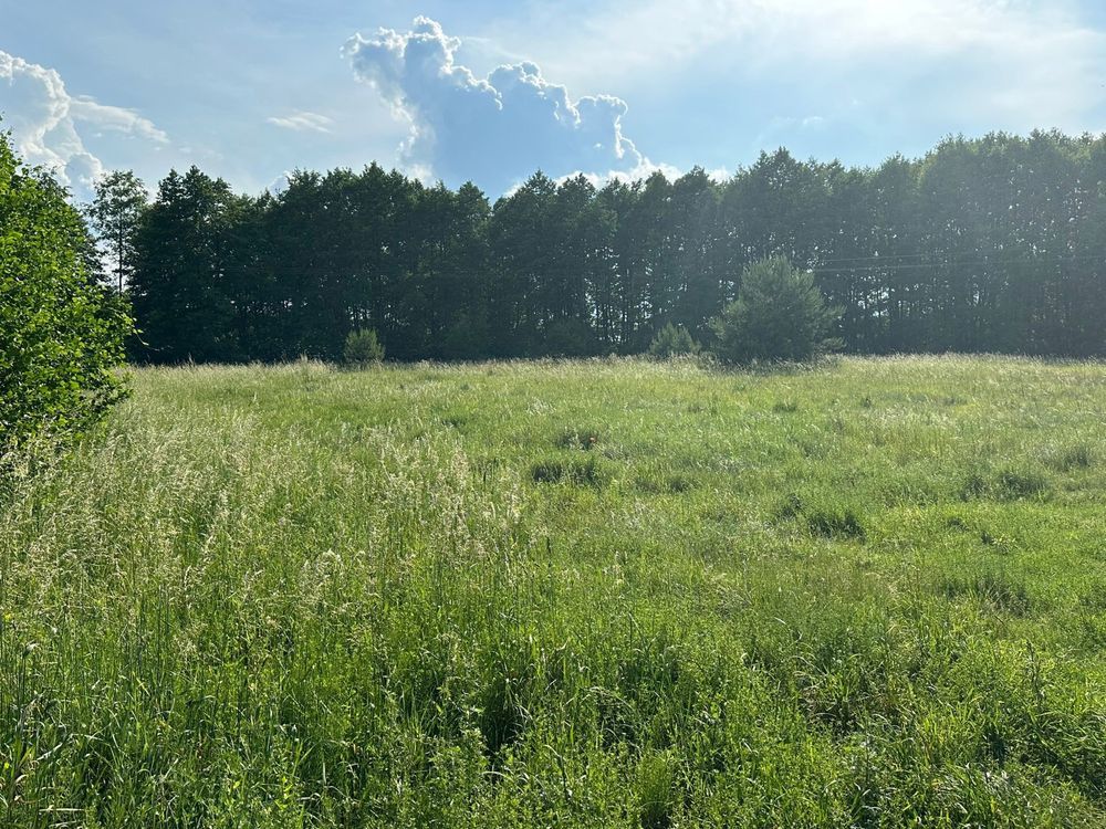 Działka budowlana Laskowo, ul. Brzegowa. Zdjęcie 3