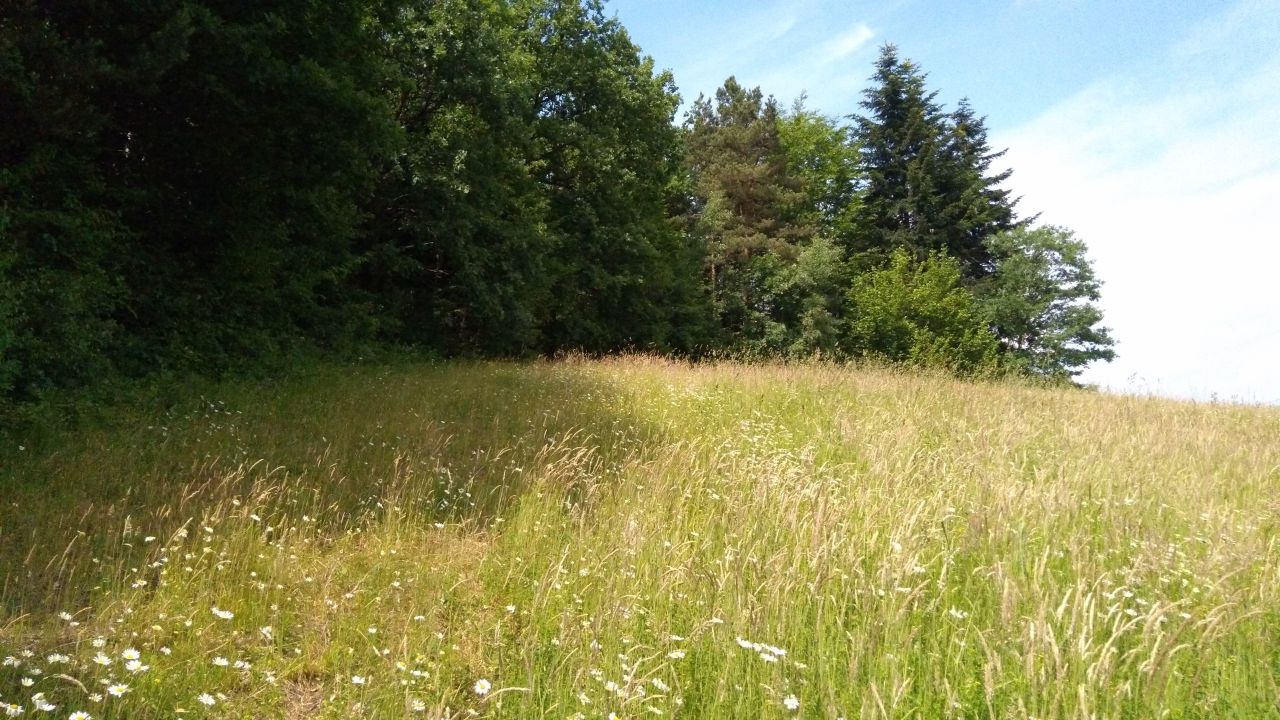 Działka inna Gorzeń Górny. Zdjęcie 6