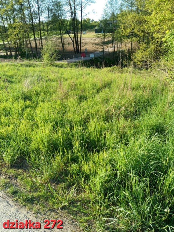 Działka rolno-budowlana Rączna. Zdjęcie 7