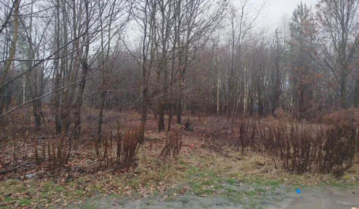 Działka budowlana Kobyłka, ul. ks. Władysława Rosłana