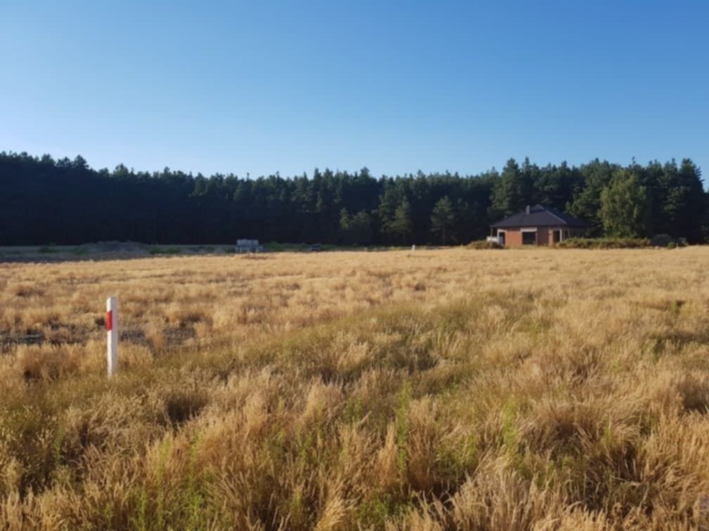 Działka budowlana Kuźnica Skakawska, ul. Kasztanowa. Zdjęcie 6