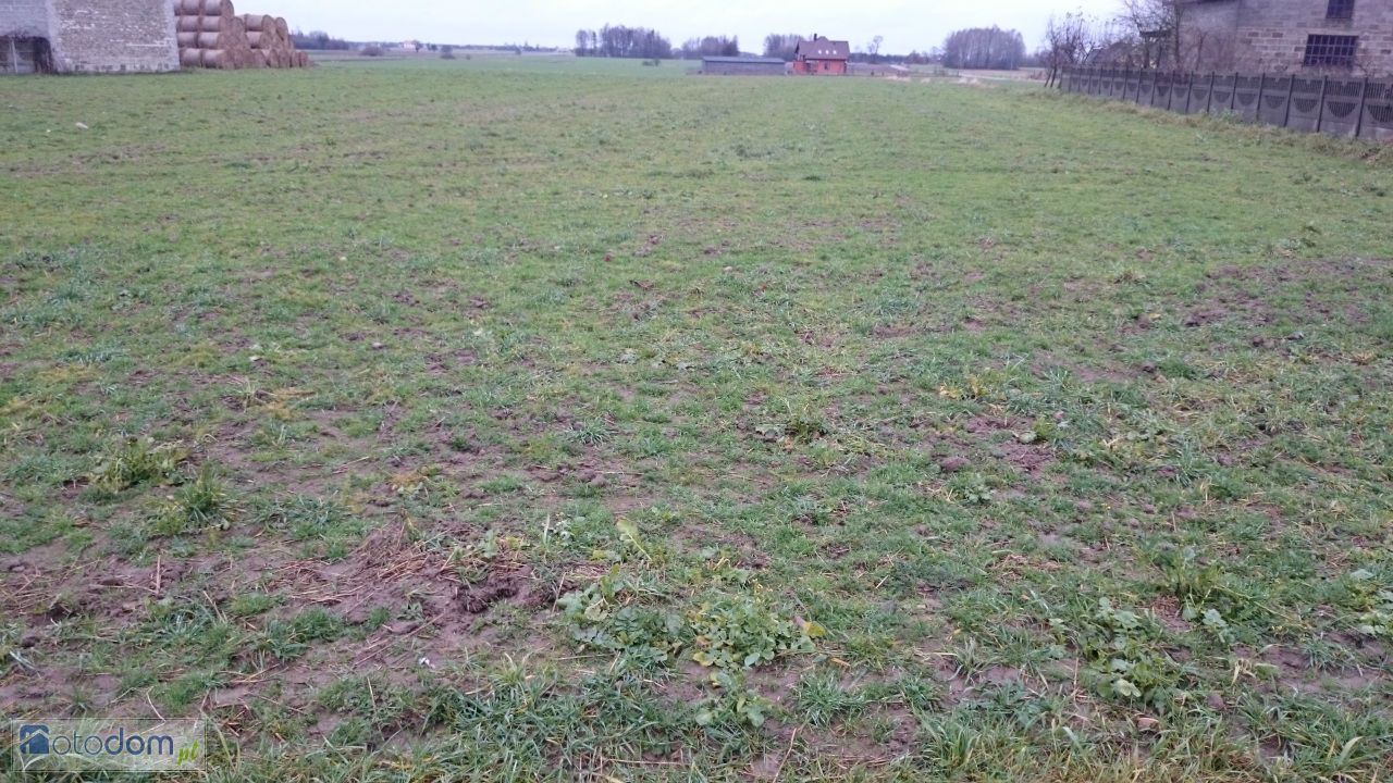 Działka budowlana Prymusowa Wola. Zdjęcie 2