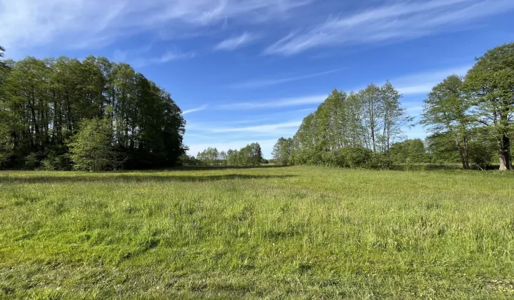 Działka budowlana Małaszewicze Duże, ul. Warszawska