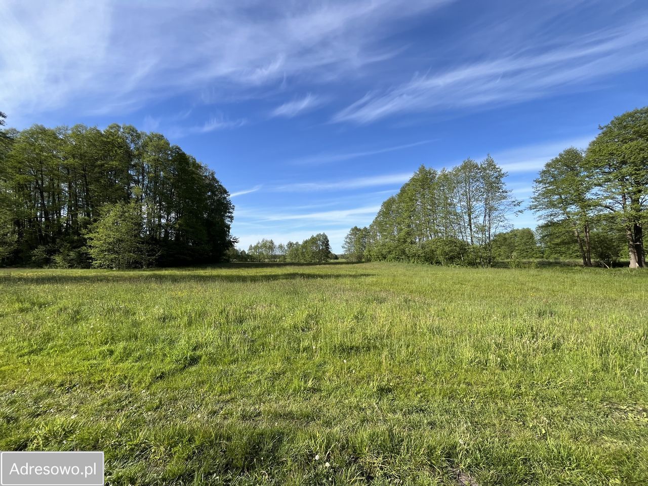 Działka budowlana Małaszewicze Duże, ul. Warszawska