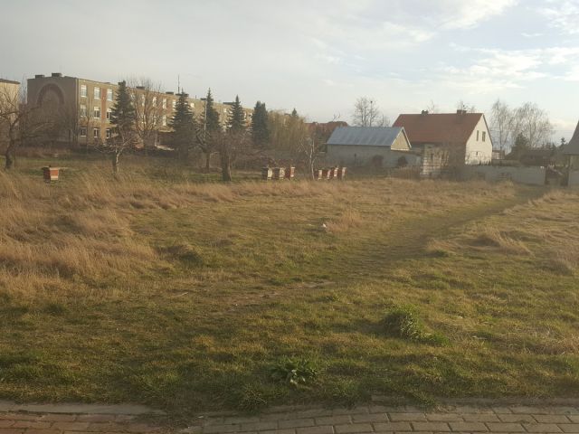 Działka budowlana Borek Wielkopolski, ul. Adama Mickiewicza. Zdjęcie 1