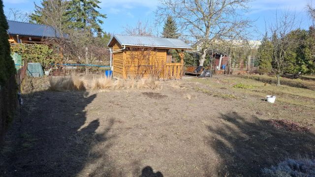 Działka rod Kutno. Zdjęcie 1