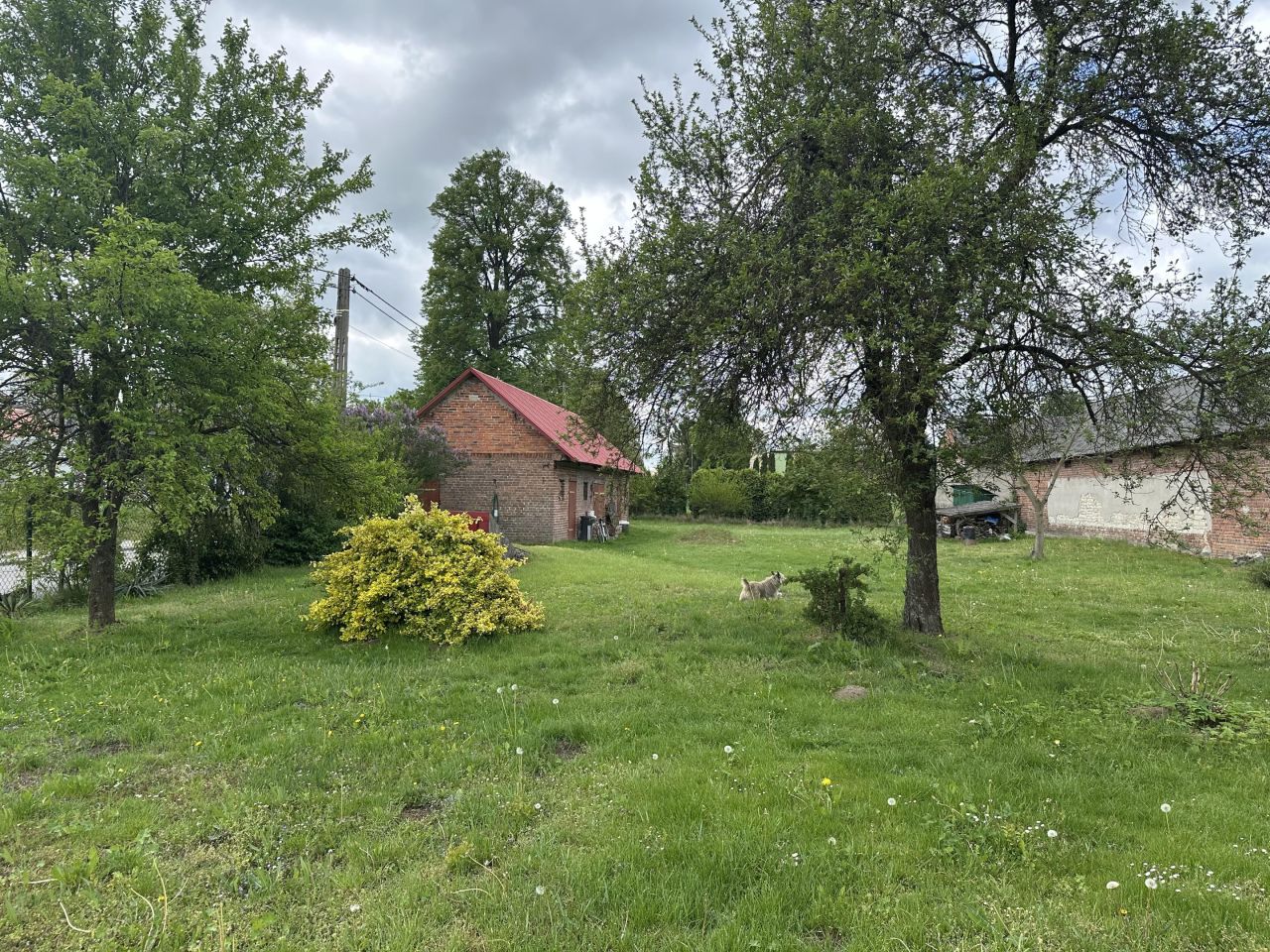 dom wolnostojący, 2 pokoje Grabówka. Zdjęcie 5