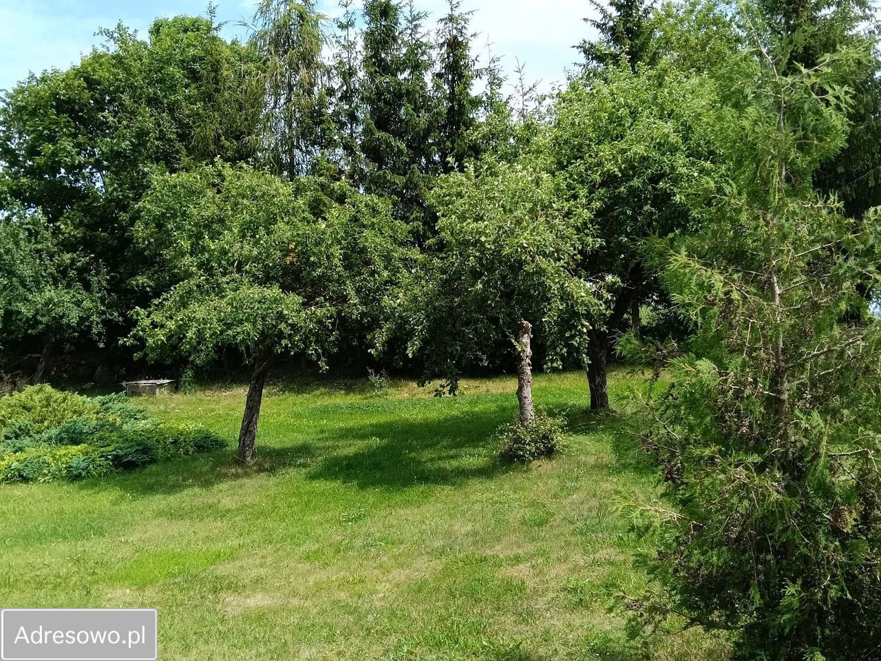 gospodarstwo Kierzki. Zdjęcie 14