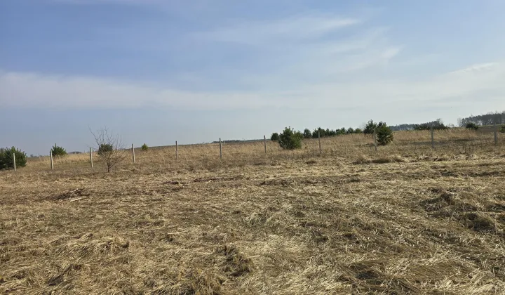 Działka budowlana Golica, GOLICA
