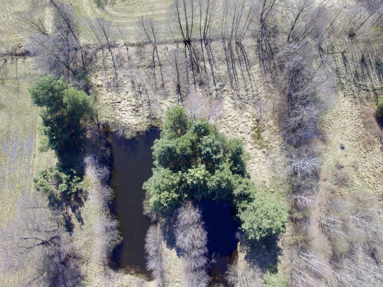 Działka rolno-budowlana Józefów Widawski. Zdjęcie 5