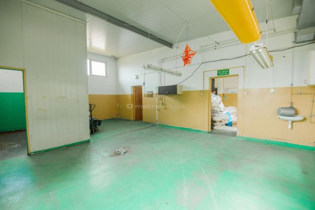 Hala/magazyn Siennica, ul. gen. Władysława Sikorskiego. Zdjęcie 15