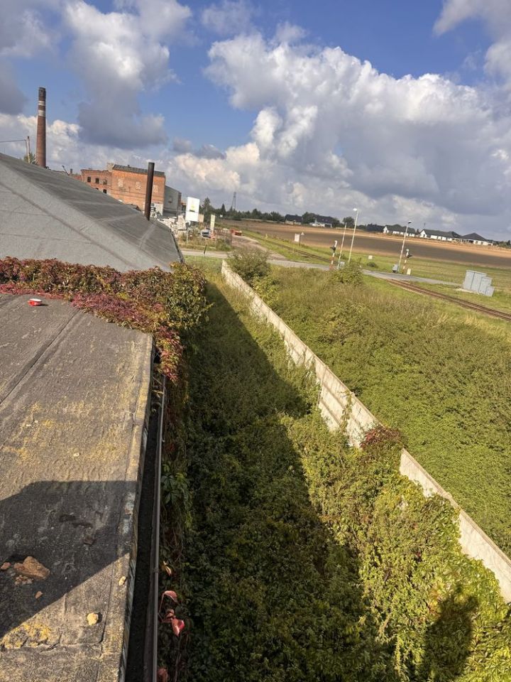 Działka inwestycyjna Ząbkowice Śląskie, ul. Cukrownicza. Zdjęcie 3