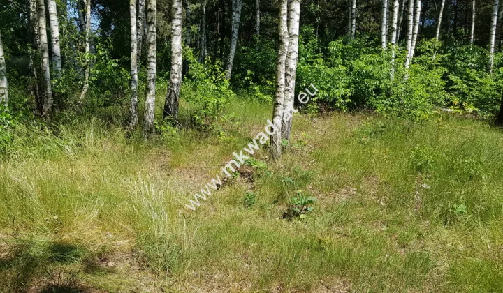 Działka budowlana Kuklówka Radziejowicka, www.mkwadrat.eu