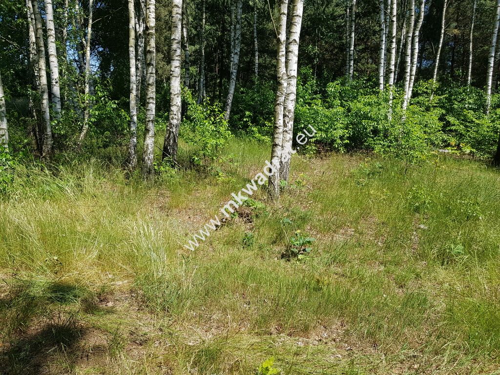 Działka budowlana Kuklówka Radziejowicka, www.mkwadrat.eu. Zdjęcie 1