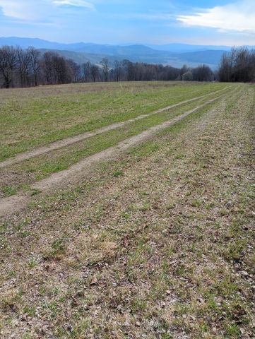 Działka rolna Radomice. Zdjęcie 1