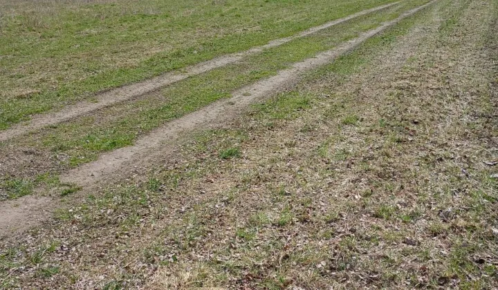 Działka rolna Radomice