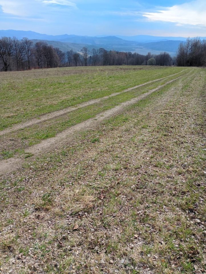 Działka rolna Radomice. Zdjęcie 1