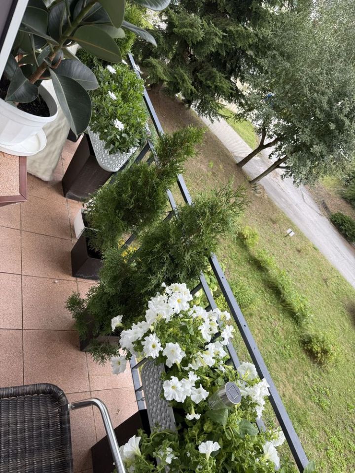 Mieszkanie 3-pokojowe Kielce Baranówek, ul. Petyhorska. Zdjęcie 7
