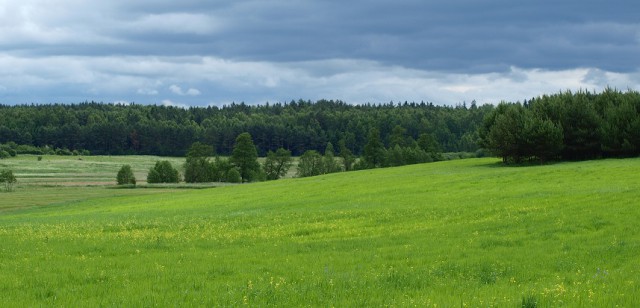 Działka rolna Józefowo. Zdjęcie 1