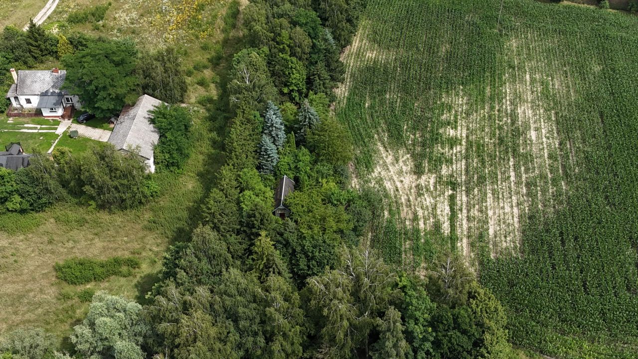 Działka rolna Obórki. Zdjęcie 25