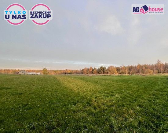 Działka inwestycyjna Pomlewo, ul. Kasztanowa. Zdjęcie 2