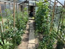 Działka rod Koszalin, ul. Holenderska. Zdjęcie 3