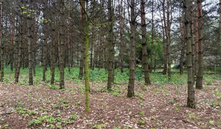 Działka budowlana Bystrzyca