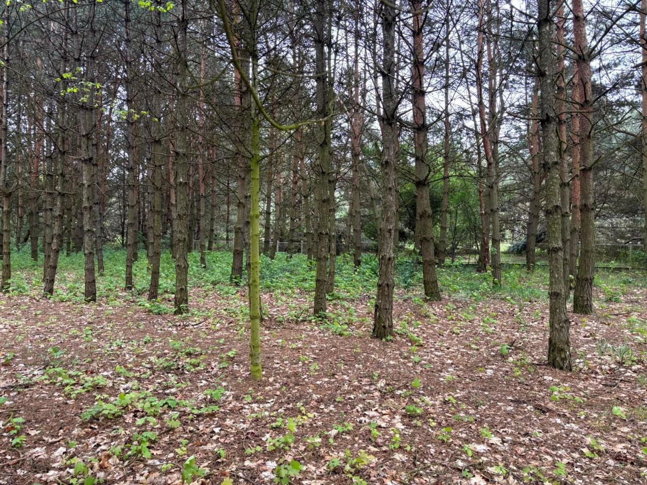 Działka budowlana Bystrzyca. Zdjęcie 1