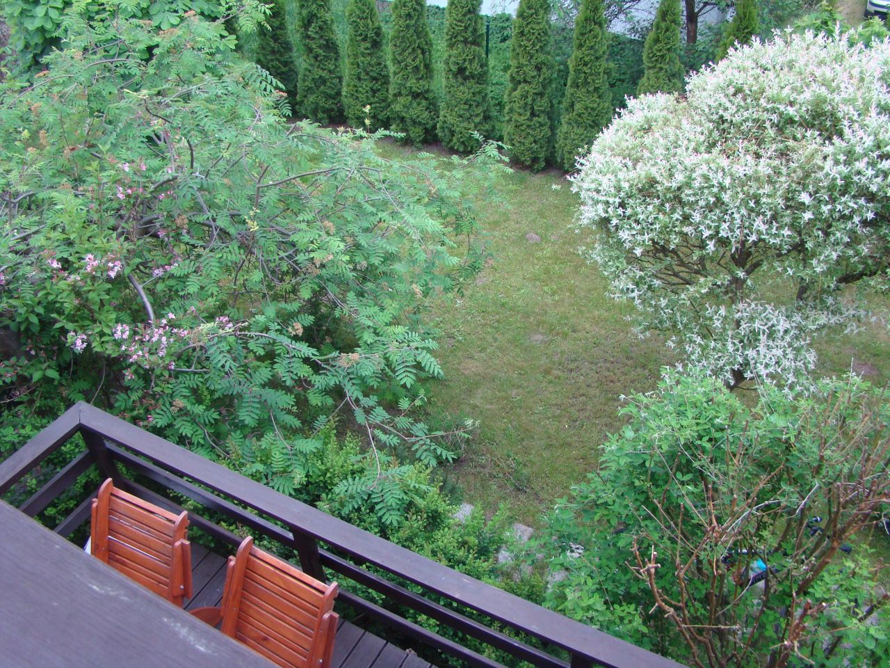 Działka rekreacyjna Czarne Małe. Zdjęcie 32