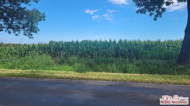 Działka budowlana Dobrzyń nad Wisłą. Zdjęcie 1