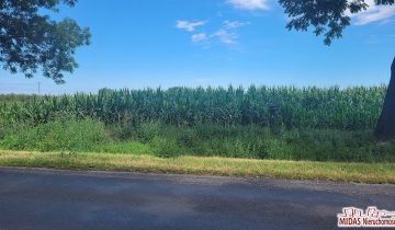 Działka budowlana Dobrzyń nad Wisłą