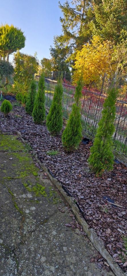 Działka rod Gniezno, ul. Północna. Zdjęcie 7