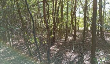 Działka Ratoszyn Pierwszy