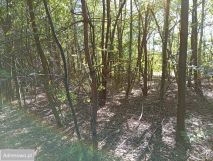 Działka Ratoszyn Pierwszy. Zdjęcie 1