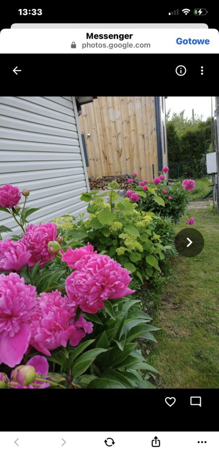 Działka rod Augustów, Przemysłowa. Zdjęcie 7