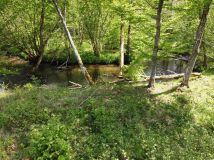 Działka rolna Krąg. Zdjęcie 4