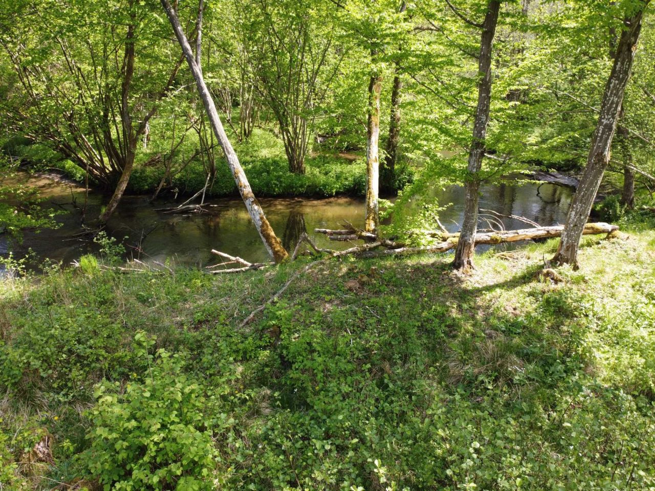 Działka rolna Krąg. Zdjęcie 5