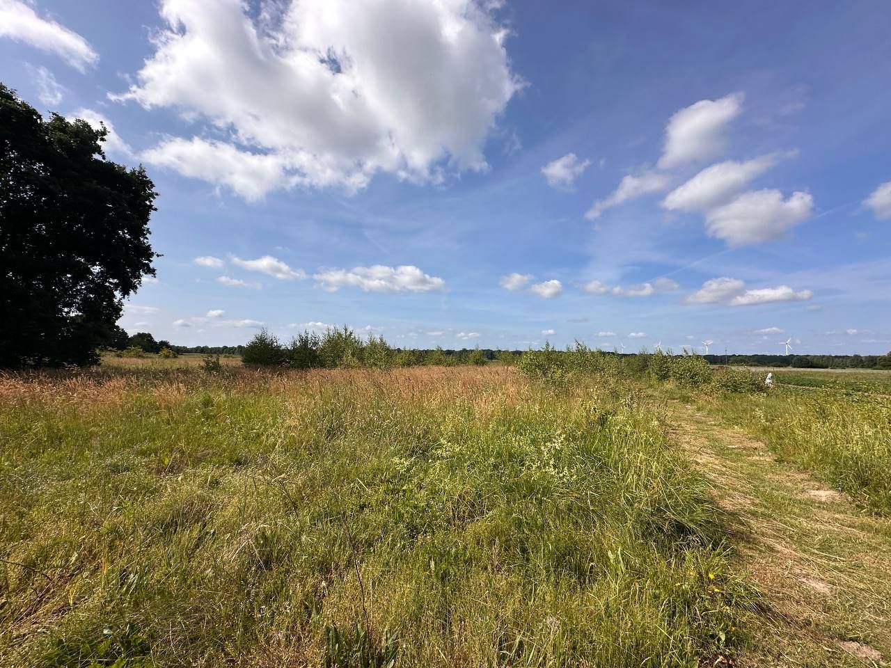 Działka budowlana Strzegów. Zdjęcie 6