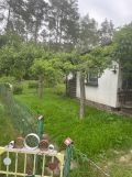 Działka rod Lubin. Zdjęcie 4