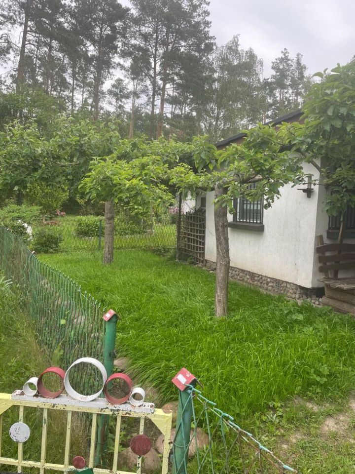 Działka rod Lubin. Zdjęcie 5